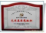 先进集层党组织 