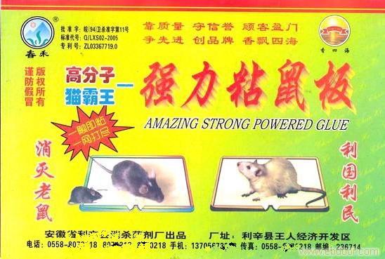 最有效的灭鼠方法