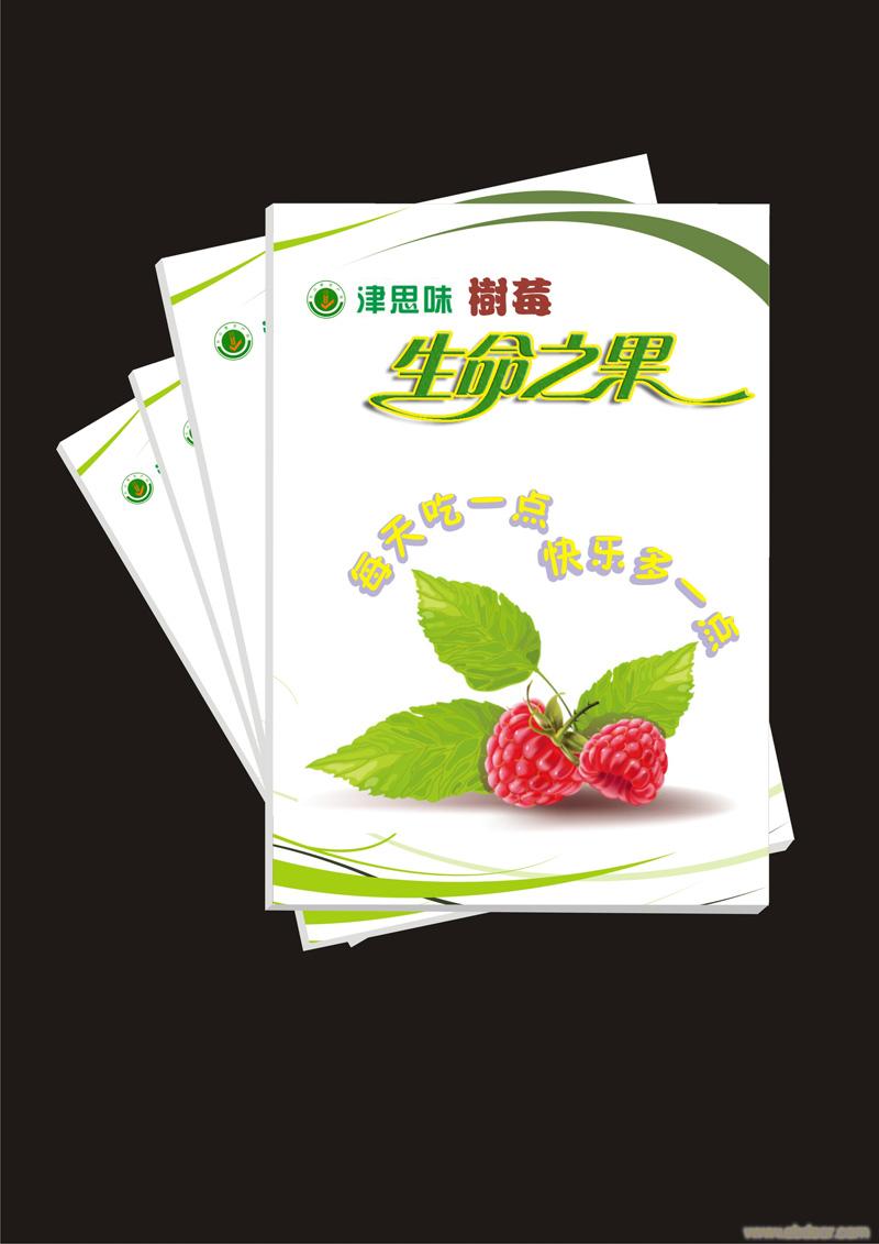 公司彩页出版印刷设计