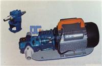 WCB手提式齿轮油泵/不锈钢齿轮泵/WCB齿轮油泵DGmachine