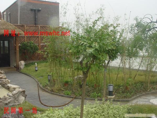 民俗文化中心-空中花园（1）15000096912