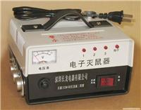 石家庄桥西区灭鼠