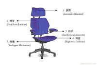 人体工学椅/人体工学椅/人体工学椅专卖