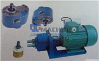 CB-B(S)微型齿轮油泵(不锈钢304）/微型齿轮泵DGmachine