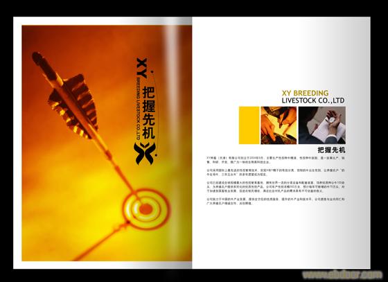 上海公司内部画册刊物设计