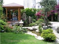 上海植物绿化 上海别墅绿化
