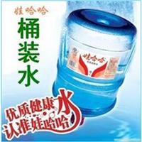 张江送水-娃哈哈桶装水