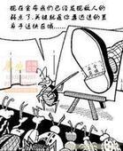 石家庄新华区灭蟑螂