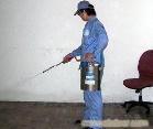 石家庄高新区灭蟑螂