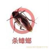 石家庄仓库灭蟑螂