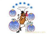 石家庄商场灭蟑螂