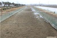 高产淡水泥鳅养殖