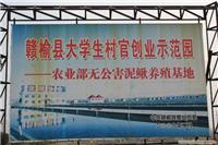 连云港泥鳅苗技术养殖中心