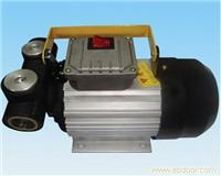 DY-70型电动加油泵/加油站油泵/便携式油泵/电动油泵DGmachine