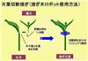 全自动嫁接机/上海全自动嫁接机专卖/上海全自动嫁接机报价