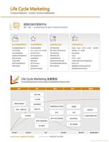 Focussend 邮件营销平台