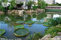 上海庭院绿化设计/制作