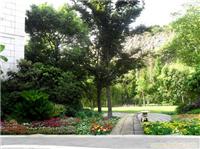 上海别墅绿化设计|上海别墅花园设计|上海别墅景观设计