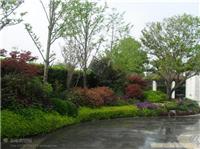 上海园林绿化公司|上海景观园林设计|上海花园设计施工