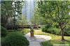 上海别墅景观绿化-上海别墅花园绿化-承接上海别墅绿化工程
