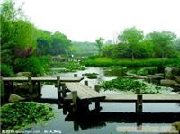 上海园林绿化找哪里