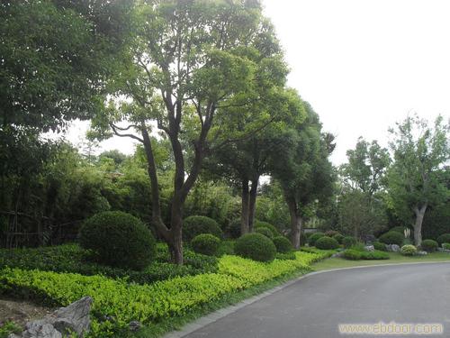 上海别墅园林改造工程_上海别墅园林改造施工_上海别墅园林改造设计/施工