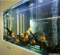 大型鱼缸制作 上海大型亚克力观赏鱼缸订做