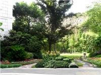 上海别墅园林改造设计_上海别墅园林改造_上海园林改造施工