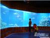 上海亚克力鱼缸厂家订做-上海专业订做大型亚克力鱼缸