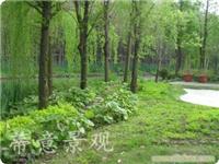 园林绿化-上海专业园林绿化-上海园林绿化公司