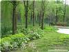 园林绿化-上海专业园林绿化-上海园林绿化公司