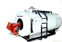 燃气锅炉_上海燃气锅炉_上海燃气锅炉厂家