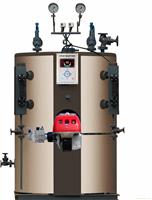 上海燃气锅炉_上海燃气锅炉厂家_燃气锅炉生产厂家