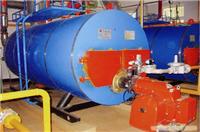 燃气锅炉_上海燃气锅炉厂家_燃气锅炉生产厂家