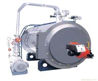 燃油导热油锅炉/燃油导热油锅炉安装