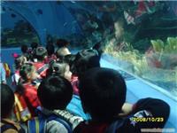 上海大型亚克力鱼缸-亚克力鱼缸定做厂家