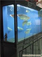 海洋馆工程 