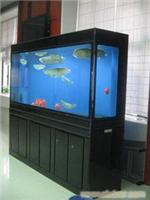 上海海洋馆工程 