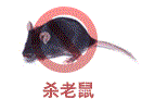 沈阳灭鼠公司电话