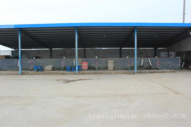 江苏赣榆墩尚泥鳅养殖基地供应泥鳅苗,水花苗寸苗泥鳅养殖技术培训