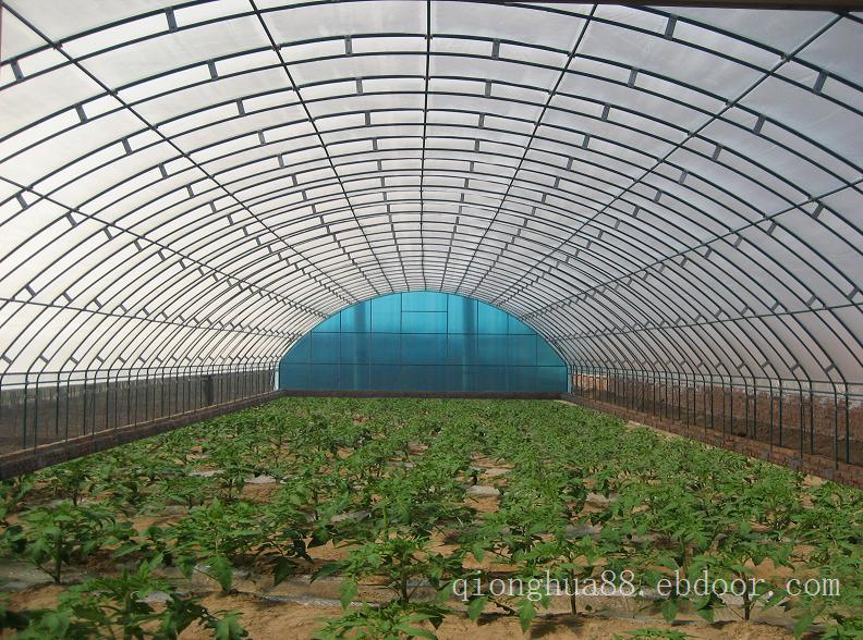蔬菜温室大棚丨上海蔬菜温室大棚搭建