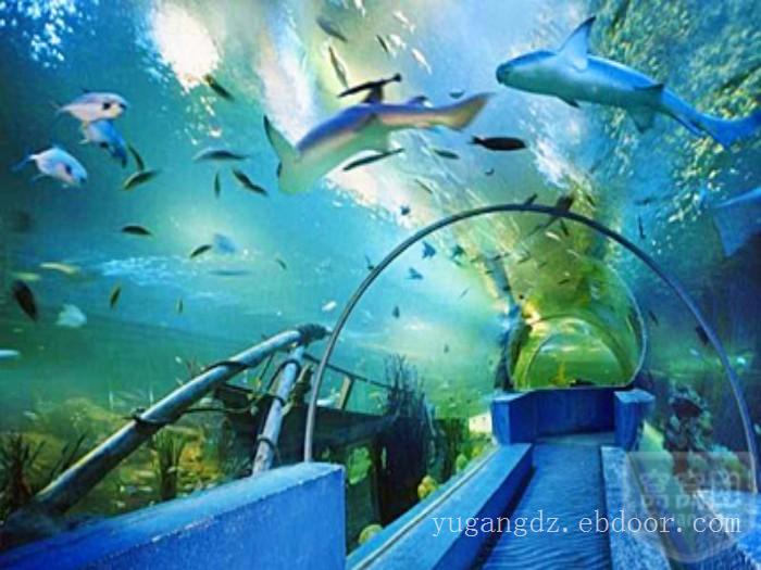 上海亚克力鱼缸定做 亚克力鱼缸制作案例图片