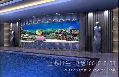 上海亚克力鱼缸