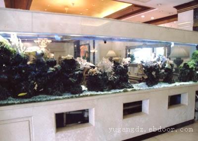 上海大型亚克力鱼缸定做-日晟亚克力加工厂