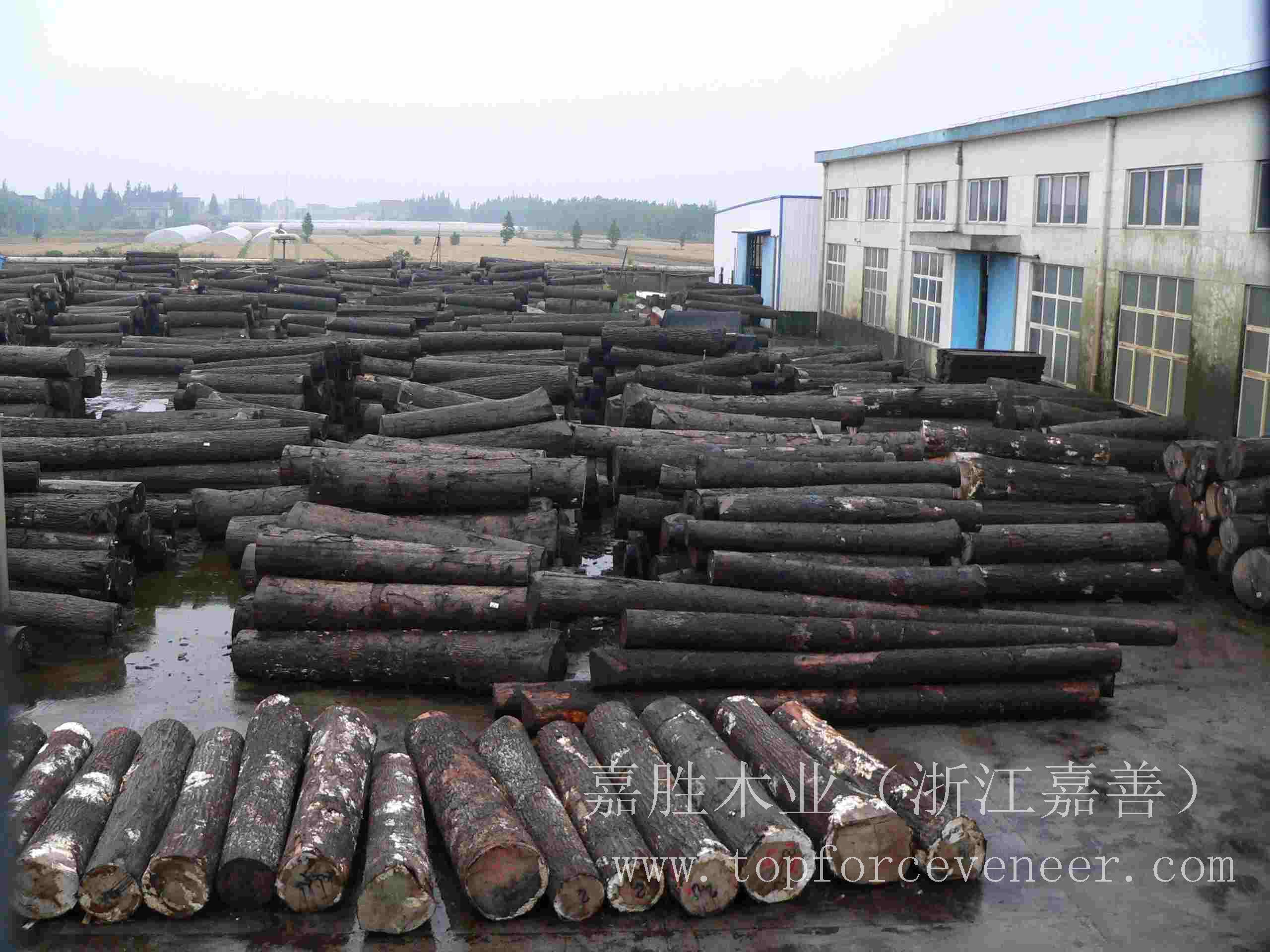 江苏美国黑胡桃原木,JiangSu American Walnut Logs,二面清,三面清锯切级,三面清旋切级和四面清刨切级,锯切