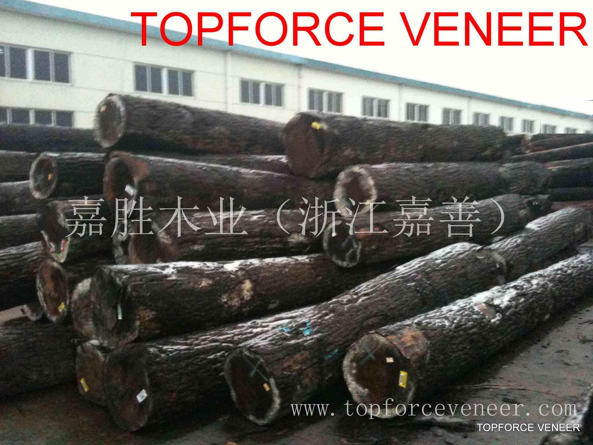 美国黑胡桃刨切级木饰面板原木上, American Walnut Slicing Grade Logs Panel ShangHai, 二面清,三面清锯切