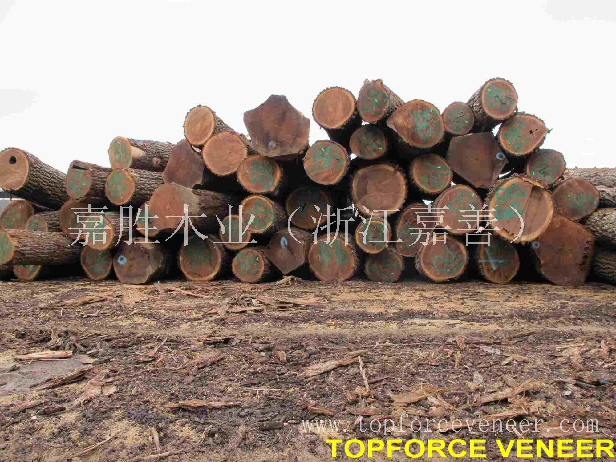 美国黑胡桃刨切级地板料原木上海,American Walnut Slicing Grade Logs