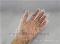 一次性塑料薄膜手套厂家
