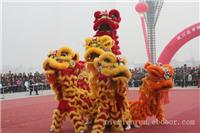 上海舞龙舞狮表演团
