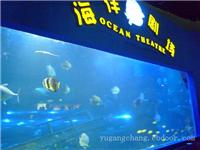亚克力鱼缸价格-上海大型鱼缸定做